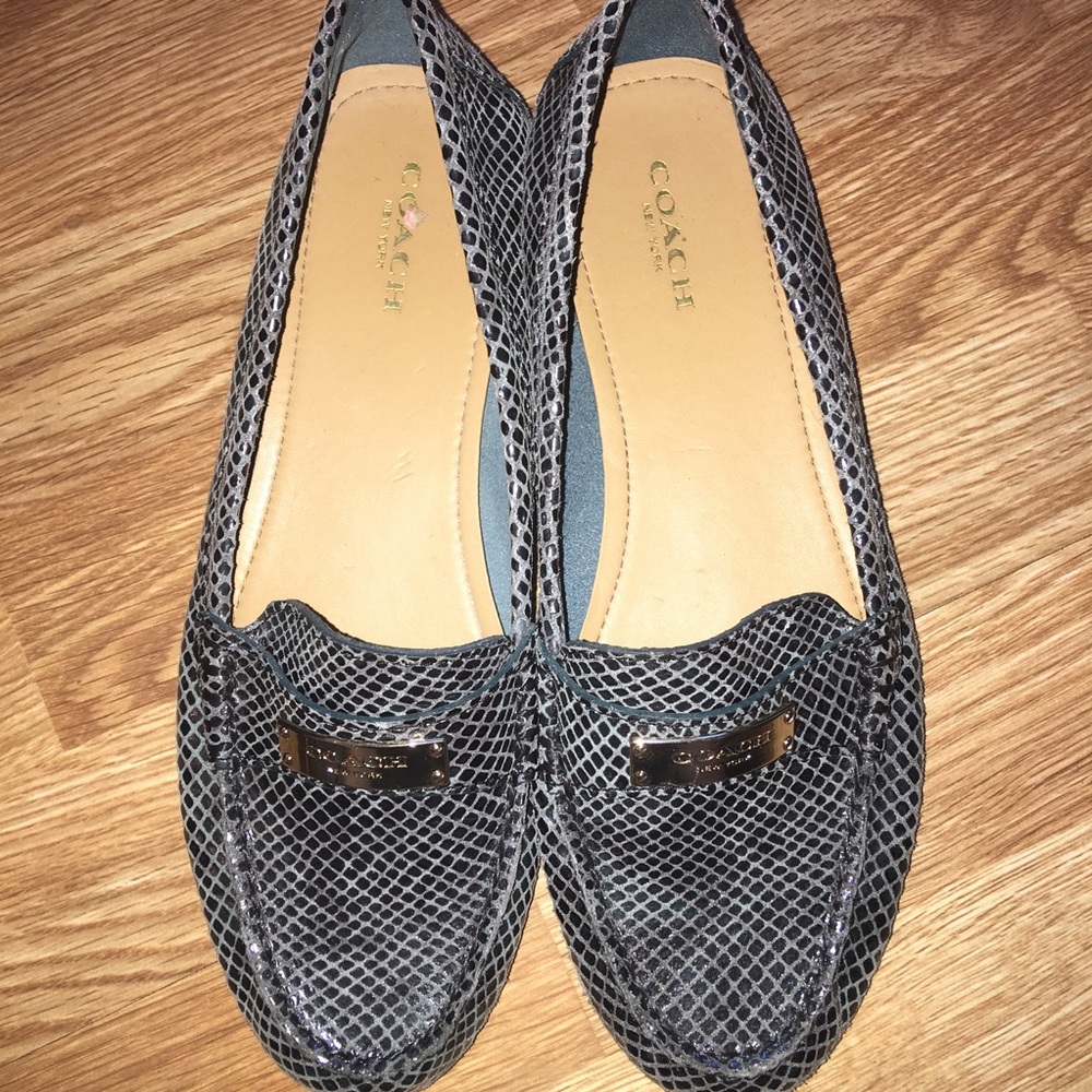 Coach Fredrica Snake Print Teal Driving Loafer